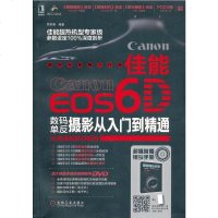 () 佳能EOS 6D数码单反摄影冲入到精通 罗斯基 机械工业 艺术 摄影 技法/教程