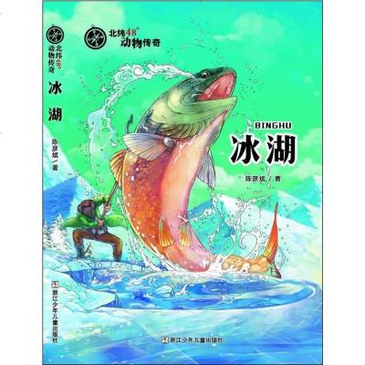 () 北纬48°动物传奇:冰湖 陈彦斌 浙江少年儿童 童书 外国儿童文学 动物小说