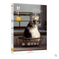 正版 目客004·猫 懒得理你 Lens作品