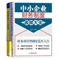 财务会计人员办公课2册(中小企业财务制度表单大全+ EXCEL带你玩转财务职场)财务书籍会计出纳财务报表中小企业管理