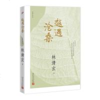 越过沧桑 无尽意系列专栏结集 林清玄作品集 林清玄不惑之年感悟生命之作 人生哲理生命感悟静心舍得 林清玄的书散文随笔