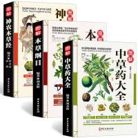 正版全3册 彩图全图全解中草药大全+本草纲目+神农本草经中医入中草药材识别图鉴大全书籍药材植物彩图中药大全书中药医