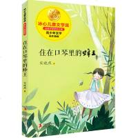 住在口琴里的蜂王 冰心儿童文学奖作品全集 宋晓燕著 青少年中小学生课外阅读 少儿图书