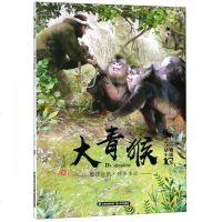 大青猴/中国当代儿童文学动物小说10家