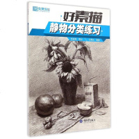 好素描(静物分类练习)/央美有约