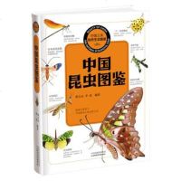 [正版 m]中国之美自然生态图鉴:中国昆虫图鉴 彩万志,李虎著