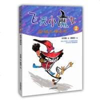 [正版 e]飞天小魔女2:家猫与硬壳怪 林秀穗