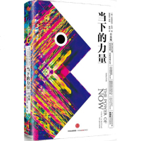 [多区域 ]当下的力量 (德)埃克哈特·托利(Eckhart Tolle) 著;曹植 译 正版成功学图书