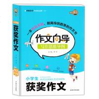 钟书作文榜样小学生获奖作文作文向导写作思维导图一本与众不同脱离传统教条的作文书学作文上海大学出版社