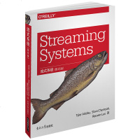 2019新书 StreamingSystems流式系统(全彩影印版) 流式批量数据处理模式 无限海量数据集 工程师科