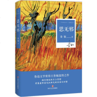 思无邪 鲁敏 著 著作 中国现当代文学 文学 四川文艺出版社 商城正版
