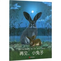 再见,小兔子 (瑞士)约克·史坦纳文(Jorg Steiner) 文(瑞士)约克·米勒(Jorg Muller) 绘