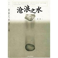 正版 沧浪之水 阎真著 活着之上作者 中国官场潜规则中国现当代文学小说官场现当代爱情小说名家长篇人情冷暖世态炎凉
