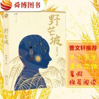 正版 暑假读书活动推荐书 野芒坡 殷健灵著 曹文轩刘绪源张伟推荐儿童文学小说中小学生课外阅读推荐中国好书 书籍