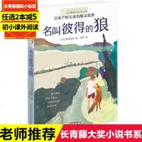 长青藤国际大奖小说书系第六辑名叫彼得的狼一二三四五六年级课外书青少年少儿阅读图书儿童文学读物6-7-8-10-12周