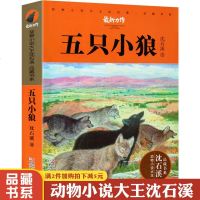 五只小狼 动物小说大王沈石溪品藏书系单本 沈石溪作品沈石溪的书 适合8-12-15-18岁儿童阅读 三四五六年级小学