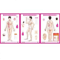 正版 人体经络穴位标准挂图(女性)(1套3张挂图)女性人体经络大挂图家用中医美体针灸艾灸养生保健穴位图 经络图书籍