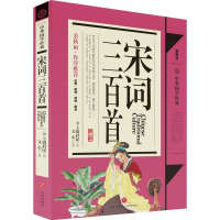 宋词三百首 精解版 文心 主编 著作 综合读物 少儿 天地出版社 商城正版