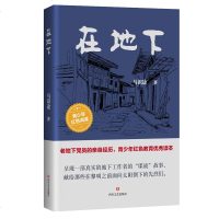 在地下 马识途 著 儿童文学 少儿 四川文艺出版社 商城正版