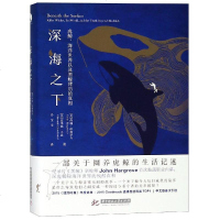 深海之下 虎鲸,海洋世界以及黑鲸背后的真相