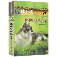 沈石溪动物小说大PARTY：花面母灵猫 小学生3456年级课外阅读推荐 沈石溪动物小说故事 儿童阅读文学 8-910