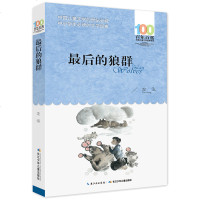 后的狼群 左泓著 百年百部中国儿童文学经典书系新版 8-9-10-11-12-13岁中小学生课外阅读必读儿童文学故