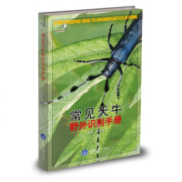 好奇心书系 常见天牛野外识别手册林美英天牛爱好者初级读物 科普读物书籍生物世界重庆大学出版社