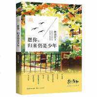 愿你,归来仍是少年(林清玄启悟人生系列)当代散文集 林清玄散文全彩插图本 选篇包括白雪少年 鸳鸯香炉 红心番薯 生命