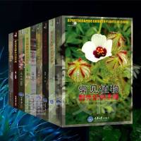 好奇心书系 野外识别手册 常见鸟类/植物/昆虫/蝴蝶/蘑菇/蜘蛛/南方野花/天牛/蜗牛野外识别手册 套装全9册