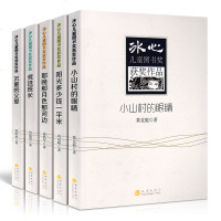 正版 冰心儿童图书奖获奖作品沉重的父爱/竞选班长/那晚那月色那河边/阳光多少钱一平米/小山村的眼睛儿童文学成长校园