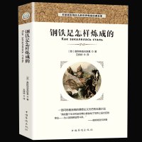 钢铁是怎样炼成的正版初中原著中文原版无删减全译本 钢铁是怎么炼成的世界文学名著小说10-15-18岁初高中