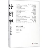 分辨率:当代录像实践:当代录像实践 (美)迈克尔·雷诺夫(Michael Renov) 编;钟晓文 译 影视理论 正