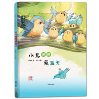 正品 小鸟帅帅爱蓝天 中国风儿童文学名作绘本系列 顾琳敏著3-6-9岁绘本图书