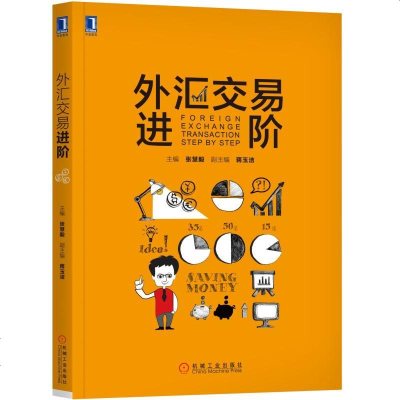 外汇交易进阶 外汇交易基本理论知识 外汇投资交易入到精通 外汇交易策略投资技巧影响汇率因素外汇交易书籍 学外汇投资