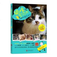 猫咪学问大 养猫书籍 学着爱你的猫 猫咪养护大全 猫咪书籍猫书猫奴手册 宠物猫咪饲养指南 养猫的书 知识百科 问答