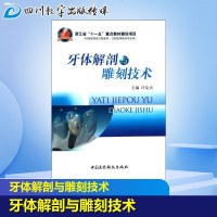 牙体解剖与雕刻技术 许复贞 著作 口腔科学生活 新华书店正版图书籍 中国医药科技出版社