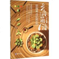 多肉萌语,软陶养成私房手贴 五花肉 著 心理健康生活 新华书店正版图书籍 重庆大学出版社
