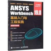ANSYS WORKBENCH 19.0基础入与工程实践(附教学视频) 江民圣 著 计算机软件工程(新)专业科技