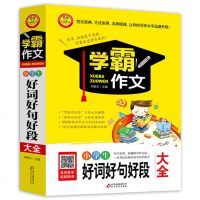 学霸作文 小学生好词好句好段大全 6-12岁小学生作文素材练习指导 300篇精彩范文 12堂名师视频作文授课 小学生