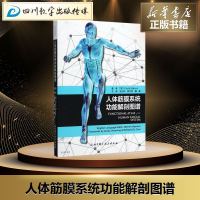 人体筋膜系统功能解剖图谱 (意)卡拉·斯德科(Carla Stecco) 著王行环,贺大林,魏强 译 著 外科学生活
