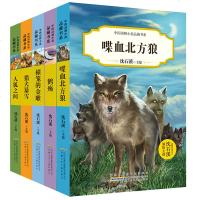 中国动物小说品藏书系第1辑全5册喋血北方狼沈石溪动物小说三四五年级六小学生课外阅读书籍6-10-12-15岁 儿童
