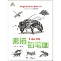 正版 艺泽美术系列素描铅笔画昆虫水族篇蜜蜂金鱼画法分步骤详解手绘新生从入到精通爱好者零基础技法美术书