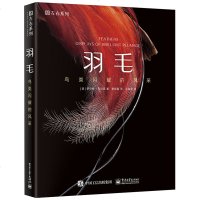 正版 羽毛 鸟类闪耀的风采 少儿科普鸟类羽毛进化揭秘鸟类羽毛赏析书籍领略蕴藏在羽毛中的大自然的科学奥秘羽毛功用演化科
