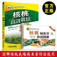 正版书籍 核桃高效栽培+核桃病虫害诊治图册(全彩版)优质核桃规模化栽培技术核桃栽培与病虫害防治技术核桃苗培育园地管理