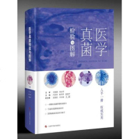 正版 医学真菌检验与图解 卢洪洲主编 上海科学技术出版社