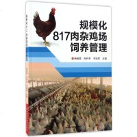 规模化817肉杂鸡场饲养管理 杨柏萱,孙开冬,于培军 主编 养殖 专业科技 河南科学技术出版社