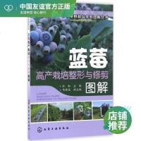 蓝莓高产栽培整形与修剪图解 於虹 主编 种植业 专业科技 化学工业出版社