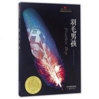 羽毛男孩(成长版)/国际大奖小说 (英)妮奇?辛娜 儿童文学 少儿 新蕾出版社(天津)有限公司