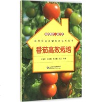 番茄高效栽培 祝海燕 等 编著 种植业 专业科技 山东科学技术出版社
