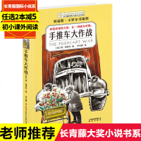 长青藤国际大奖小说书系 第七辑 手推车大作战儿童文学故事书四五六年级小学生课外书9-10-12-15岁 读物青少版